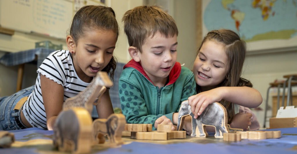 Best Montessori Schools